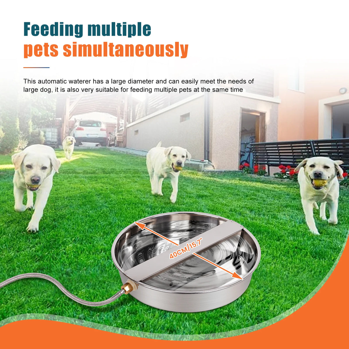 Stainless Steel Automatic Dog Water Dispenser With Long Hose