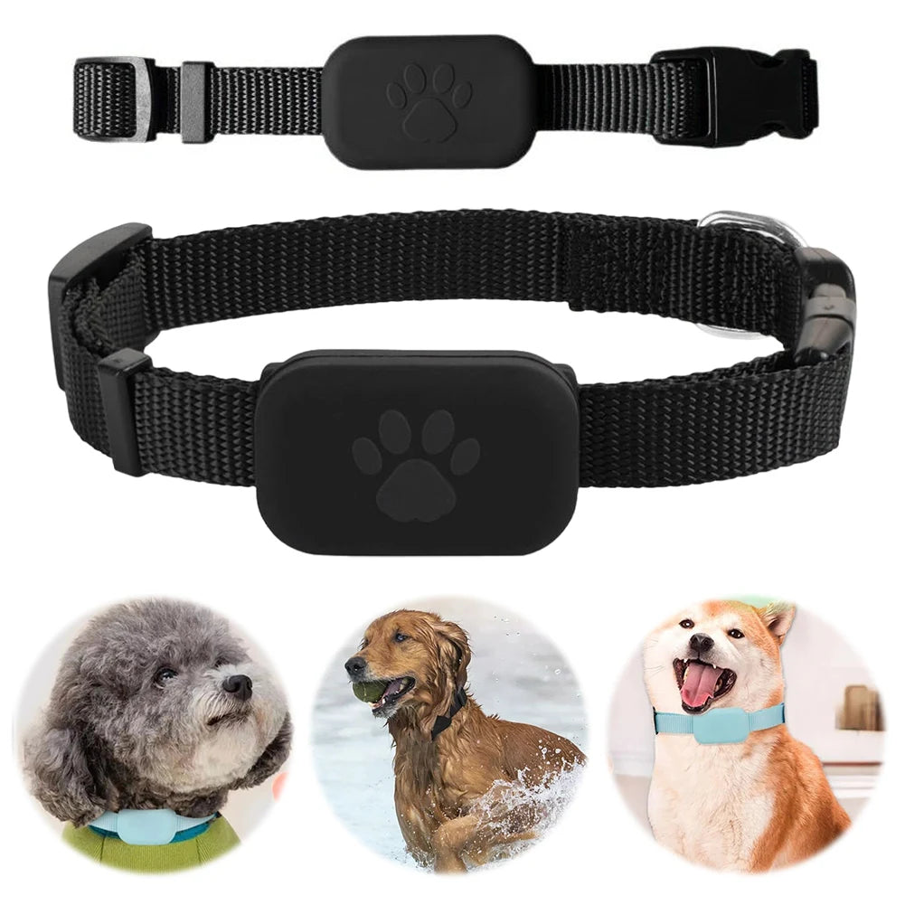 APWIKOGER GPS Tracker With Adjustable Collar For Dogs And Cats