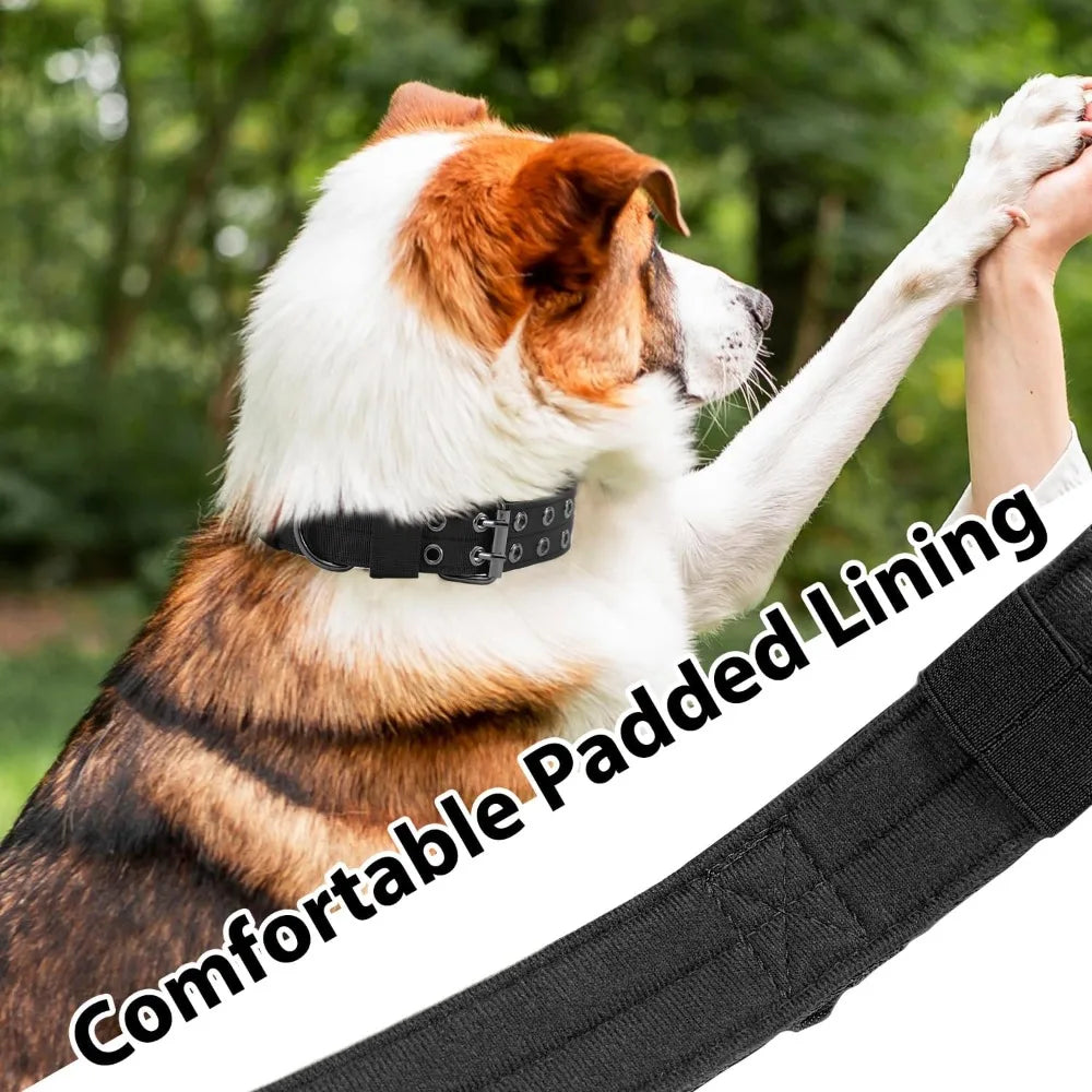 Military Grade Dog Collar With 1000D Nylon Adjustable Padded Buckle