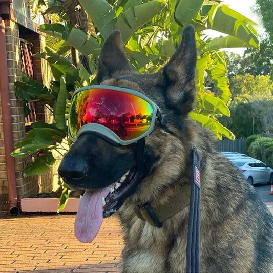 PETRAVELCN Dog UV Sunglasses For Travel Protection Windproof