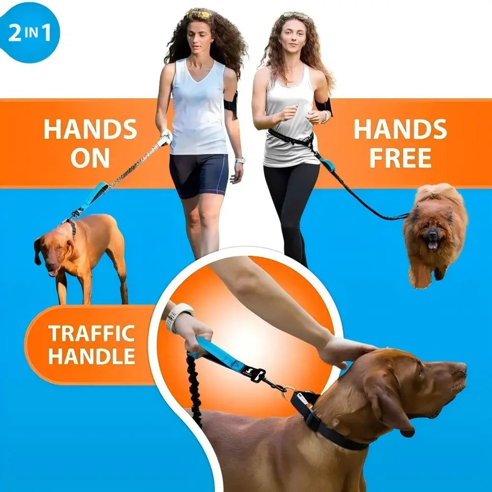 Pet Retractable Belt Leash Reflective Hands Free Dog Leash Running