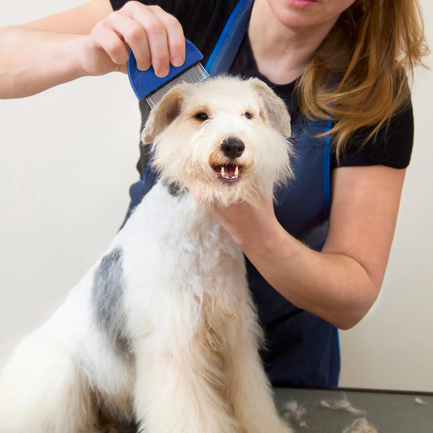 Flea Comb For Cats And Dogs Pet Hair Removal Brush