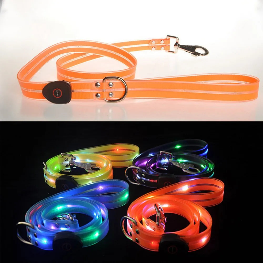 Dog Led Light Up Leash Usb Rechargeable Pvc Webbing