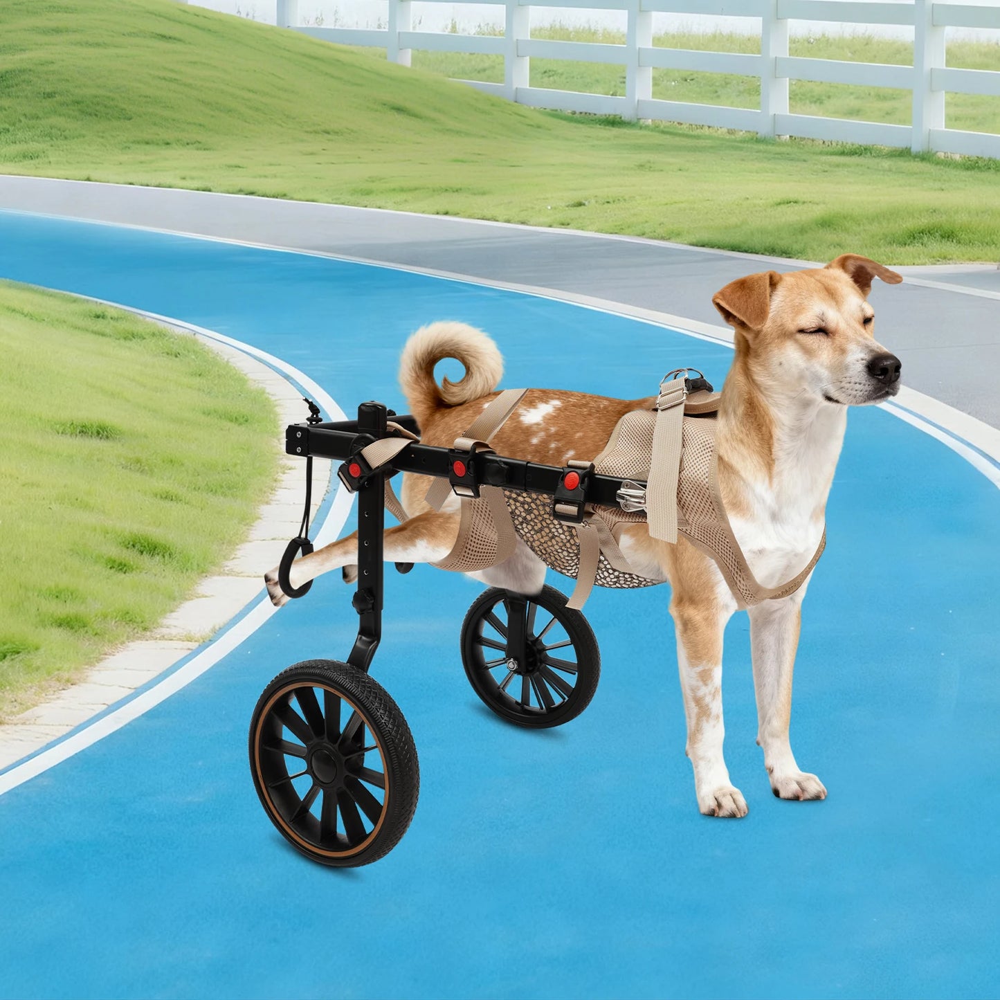Bymaocar Pet Walking Aid Wheelchair For Senior Dogs Back Legs