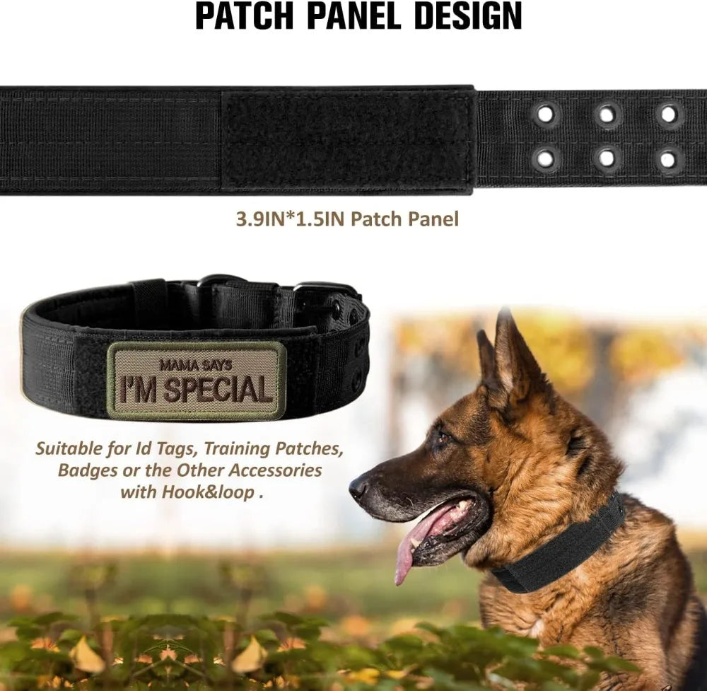 Military Grade Dog Collar With 1000D Nylon Adjustable Padded Buckle