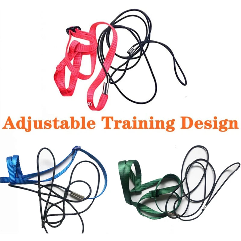 Parrot Harness Leash For Small Birds Outdoor Flying Rope