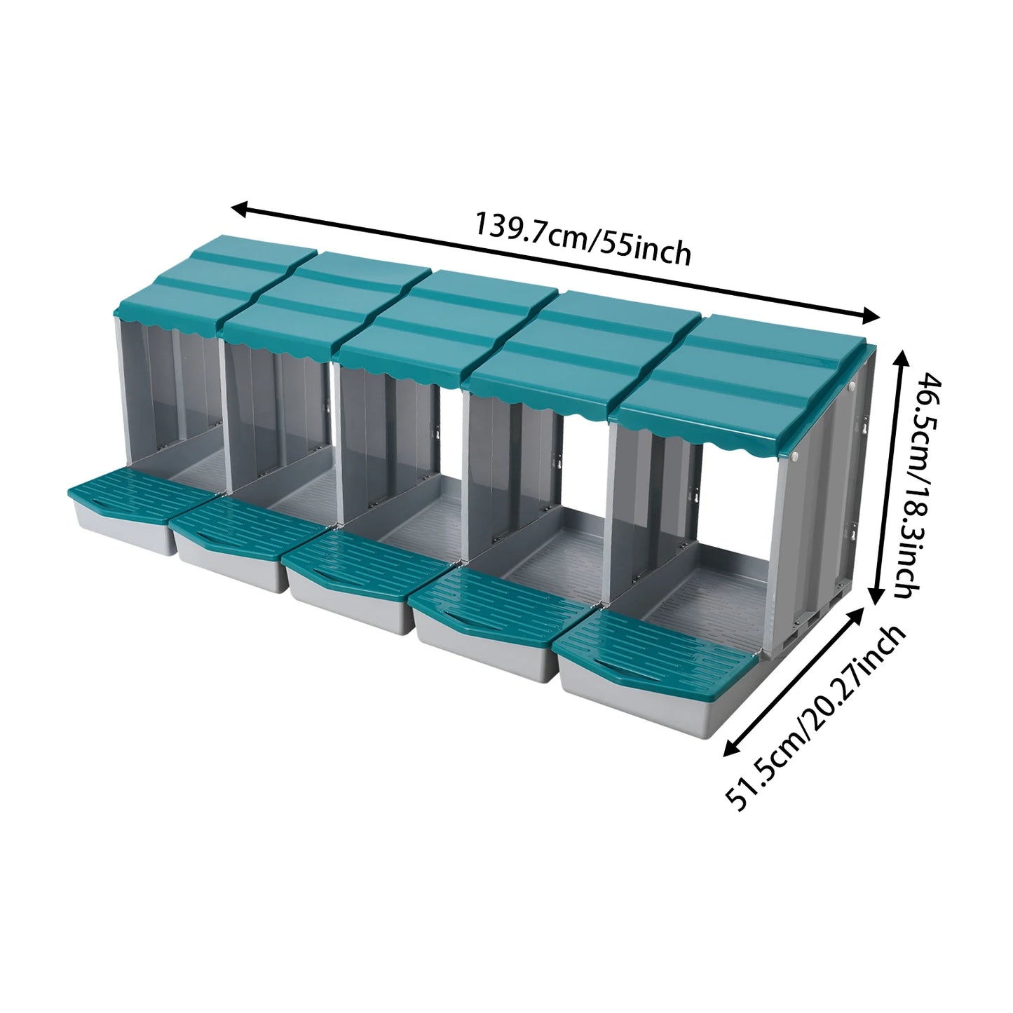 Five-Compartment Chicken Nesting Box With Roll Away Egg Collection