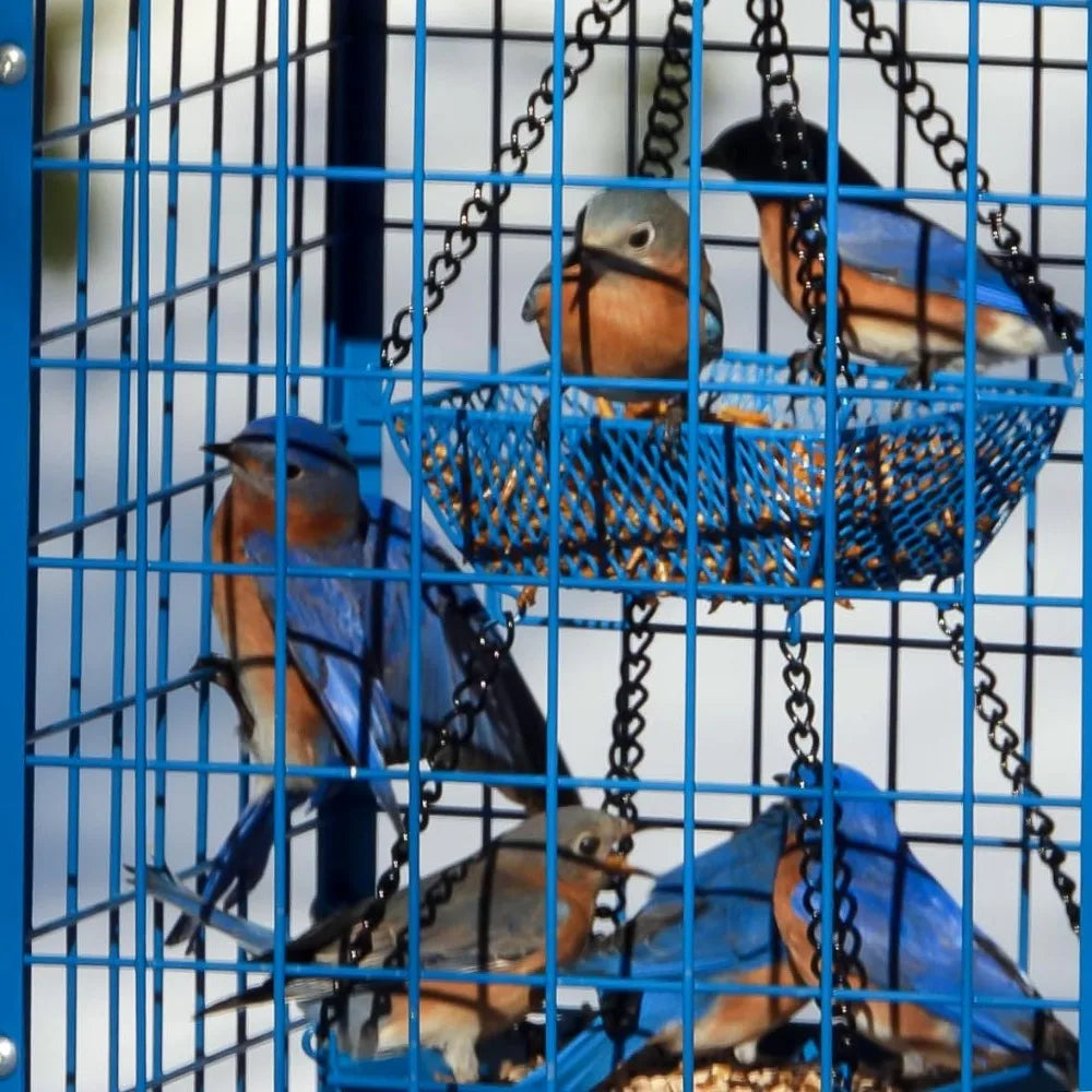 NONEM Mealworms Bird Feeder For Bluebirds Outdoor Hanging Cage
