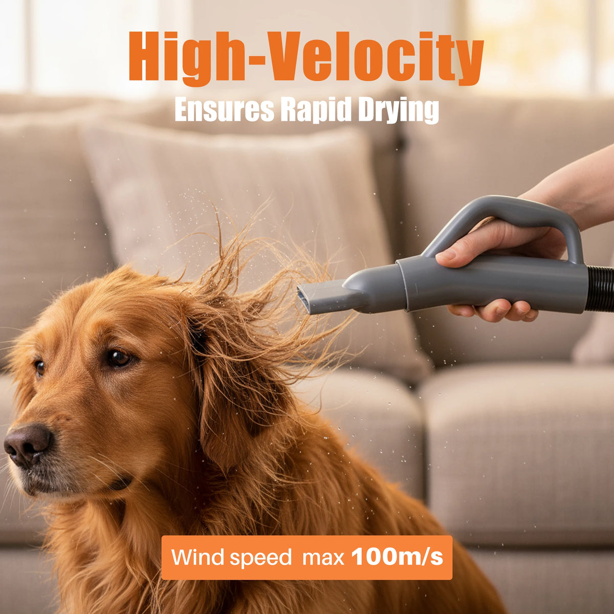 Quiet Dog Grooming Vacuum Dryer Kit With 4 Nozzles
