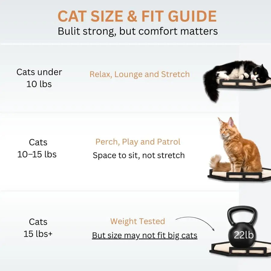 Cat Wall Shelves 3 Step Birch Wood Floating Cat Furniture Up To 15Lbs