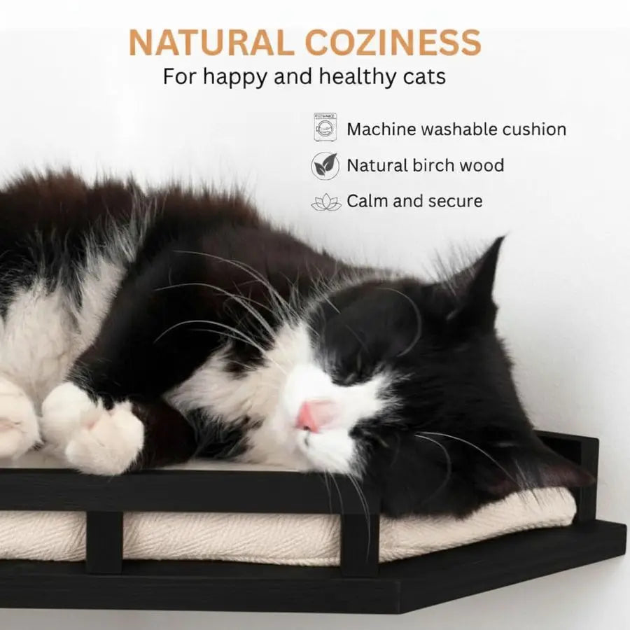 Cat Wall Shelves 3 Step Birch Wood Floating Cat Furniture Up To 15Lbs