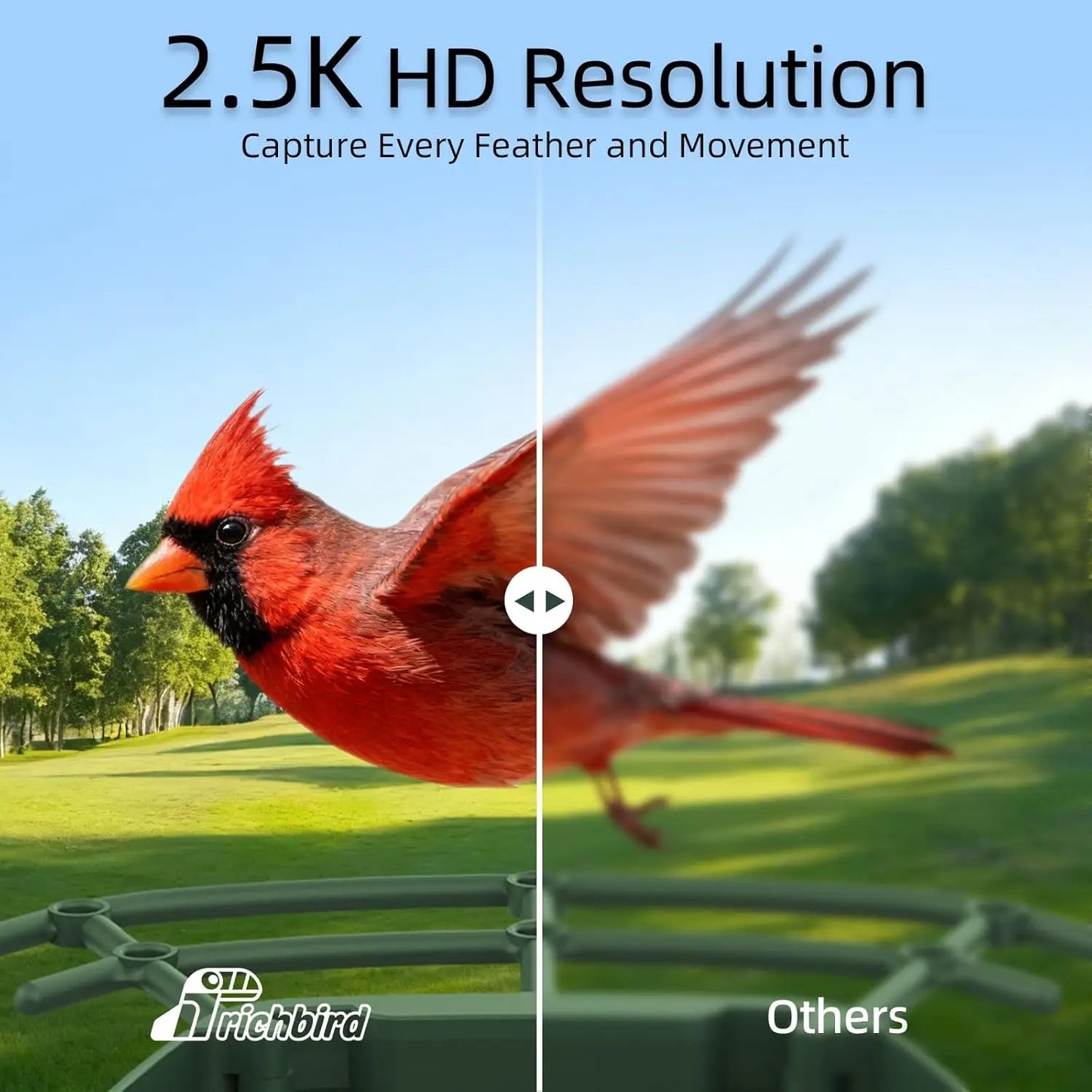 2.5K HD Solar Bird Feeder Camera With AI Recognition Alerts