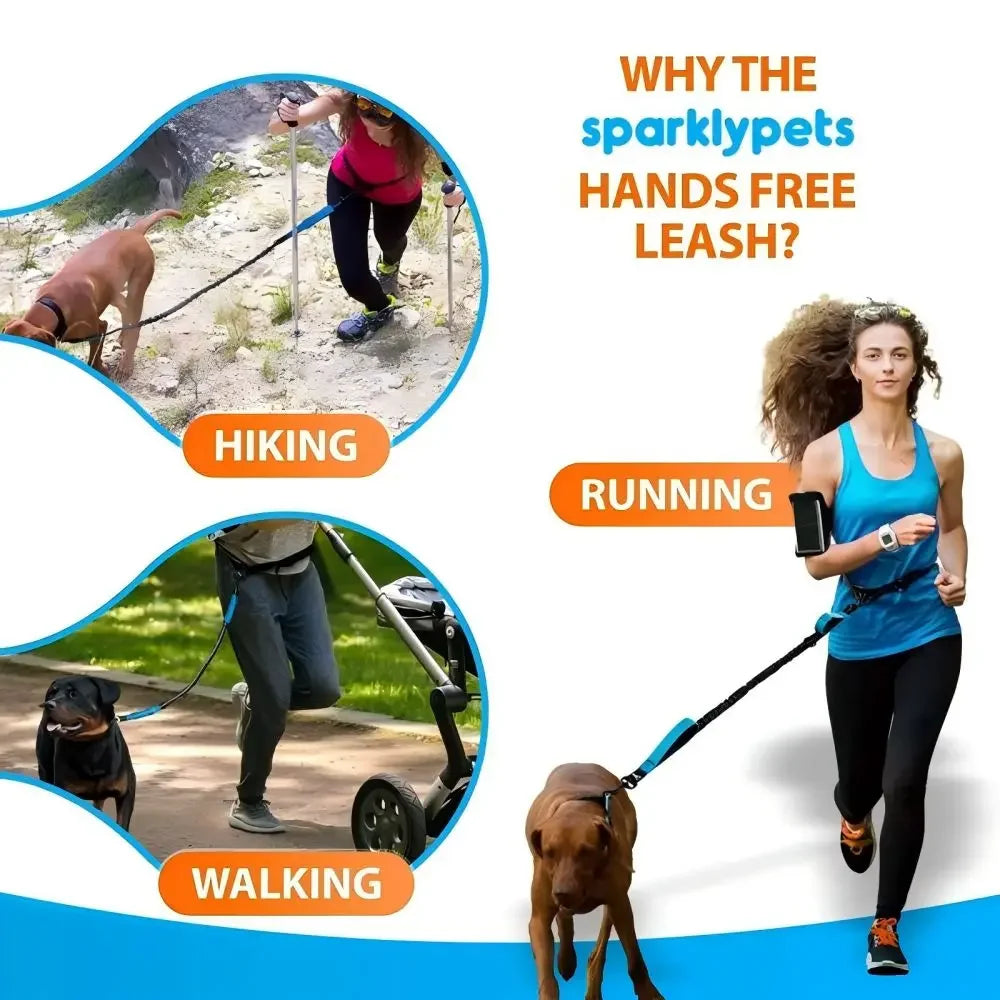 Pet Retractable Belt Leash Reflective Hands Free Dog Leash Running