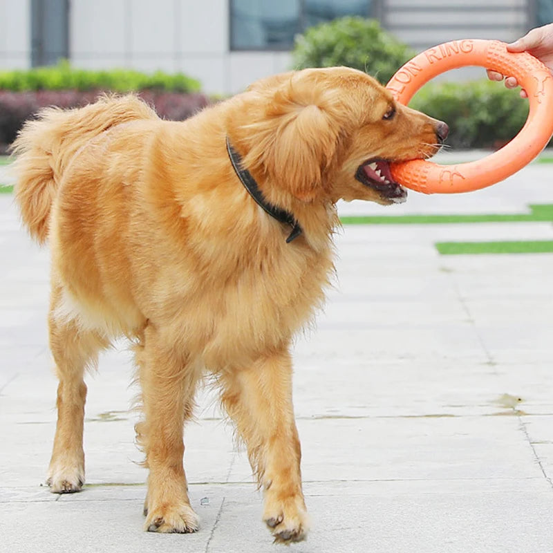 Dog Toy Flying Disk Ring Puller Eva Interactive Training
