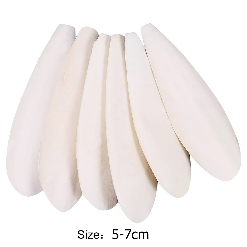 Alloet Cuttlefish Bone For Parrot Bird Chew Toys And Molars