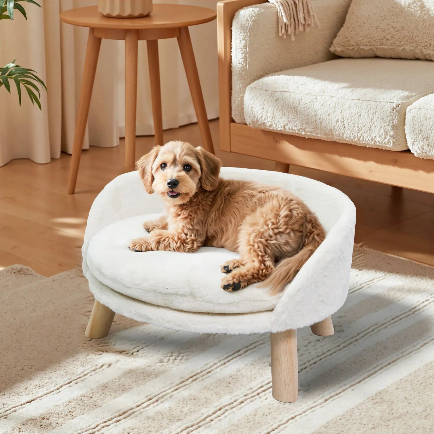 BORWART Ultra Soft Elevated Dog Cat Sofa Bed