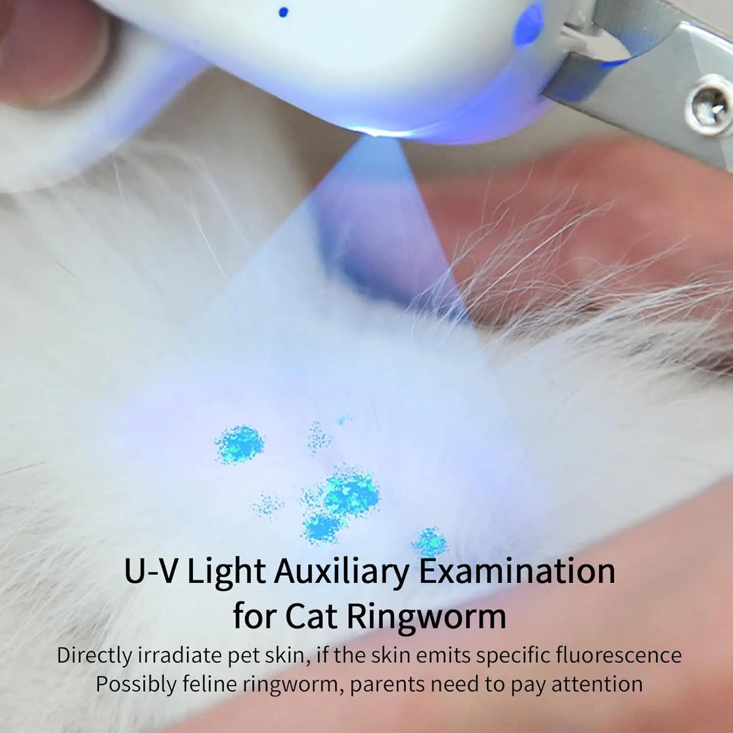 Pet Nail Clipper With LED Illumination For Cats And Dogs