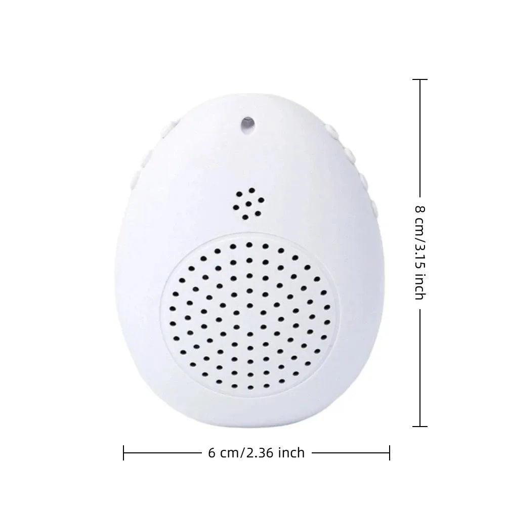 Interactive Bird Learning Machine With Timer And Audio Playback