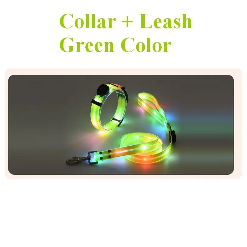 LED Light Up Dog Leash USB Rechargeable for Night Walks