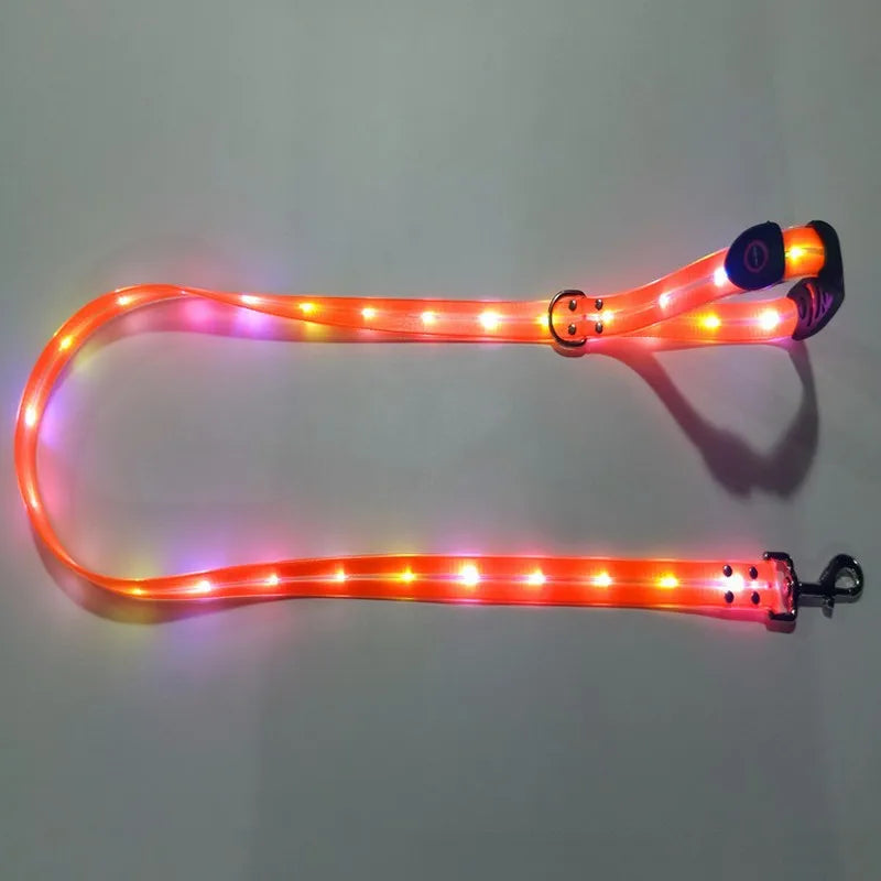LED Light Up Dog Leash USB Rechargeable for Night Walks