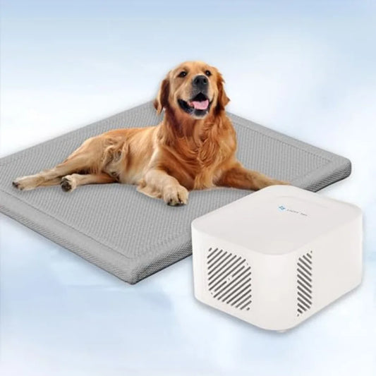 Safe Water Cooling Mat For Dogs And Cats Summer Pad