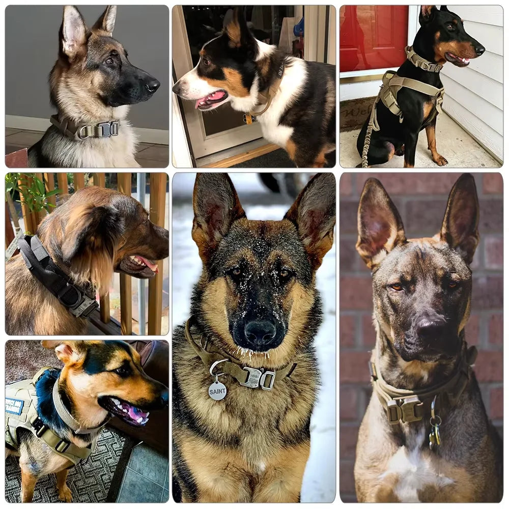 Adjustable Dog Training Collar And Leash Set With Control Handle
