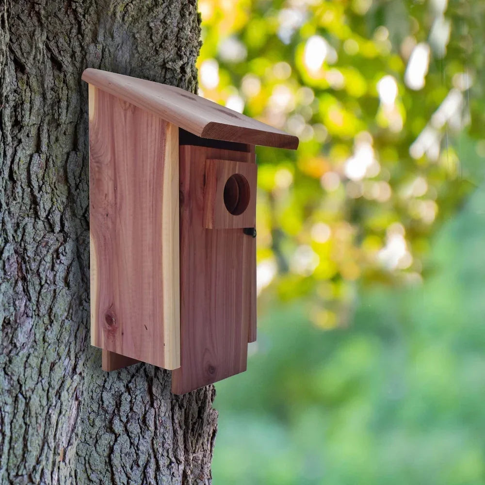 Eastern Red Cedar Bluebird House Outdoor Nesting Box With Ventilation