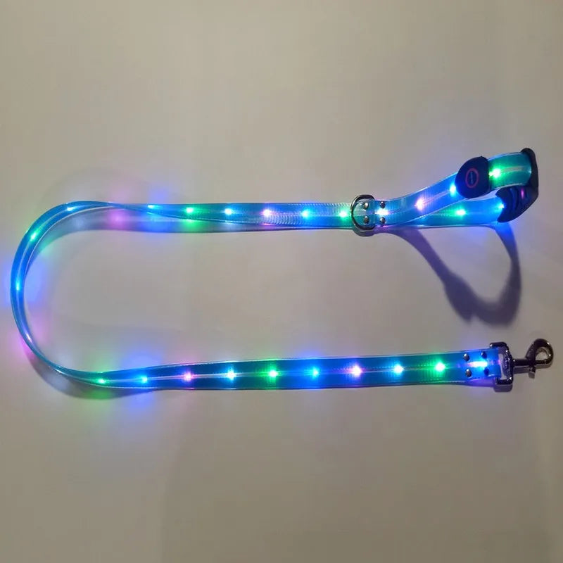 Dog Led Light Up Leash Usb Rechargeable Pvc Webbing