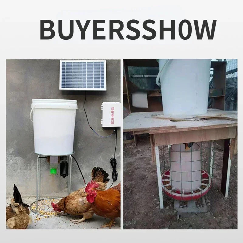 Automatic Chicken Feeder for Pigeons and Chickens with Intelligent Timing