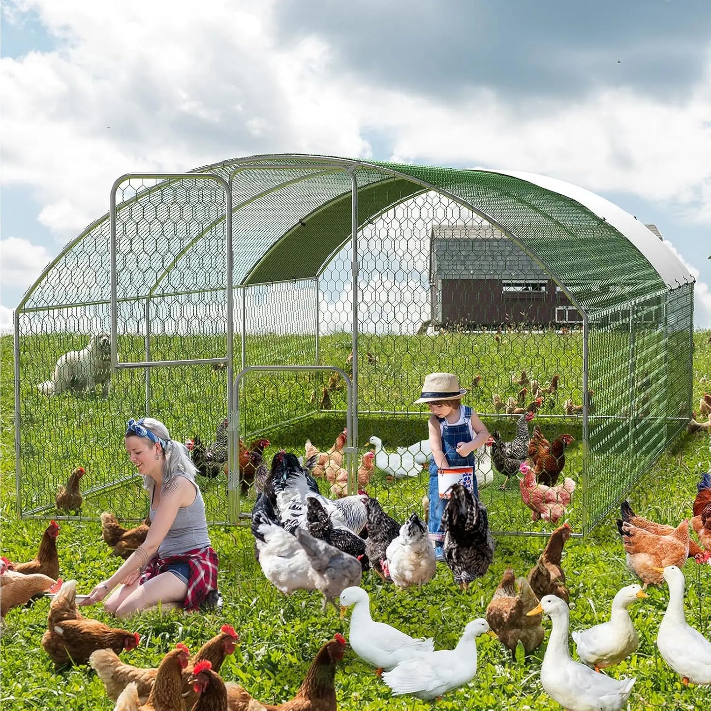 HiMISS Large Dome Metal Chicken Coop With Double Doors And UV Cover