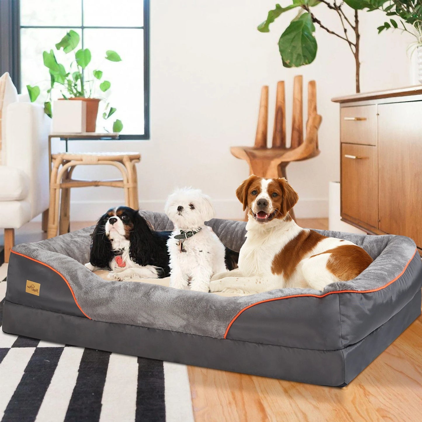 BINGOPAW Super Soft Orthopedic Dog Bed with Removable Cover