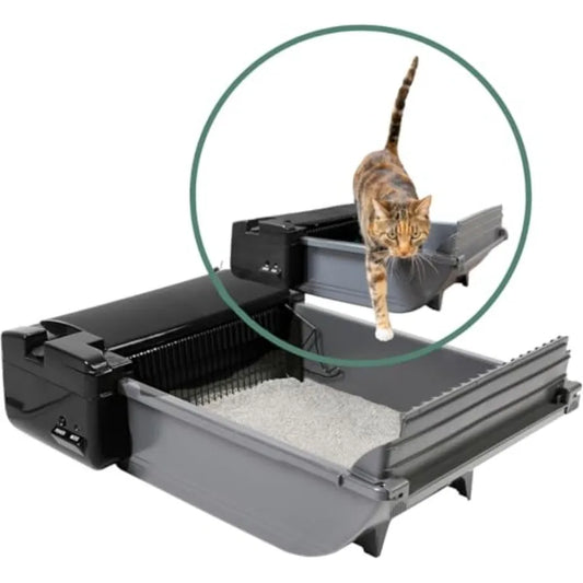 Semi Automatic Self Cleaning Cat Litter Box With Carbon Filter For Two Cats