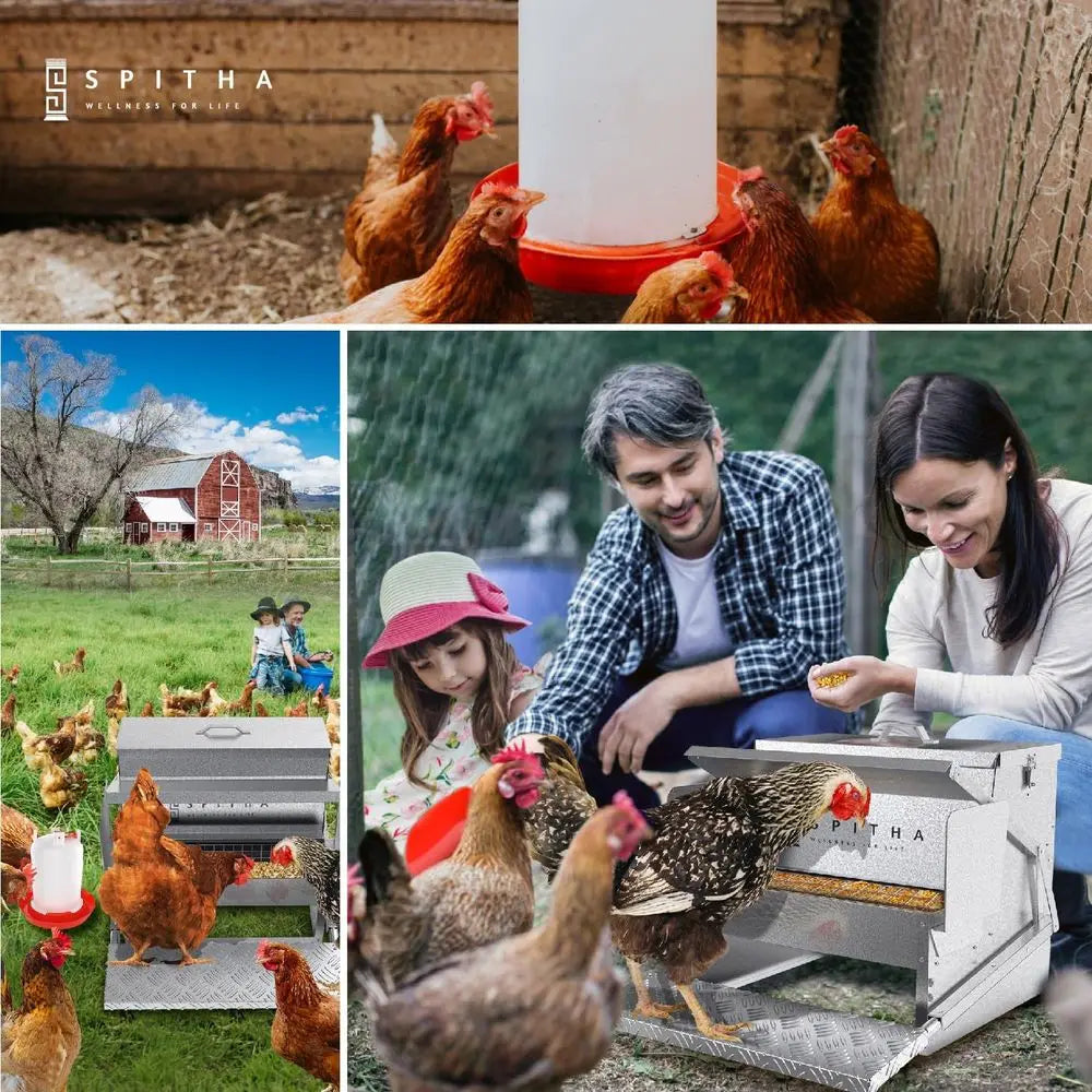 Stainless Steel Automatic Chicken Coop Feeder Rodent Proof Weather Resistant