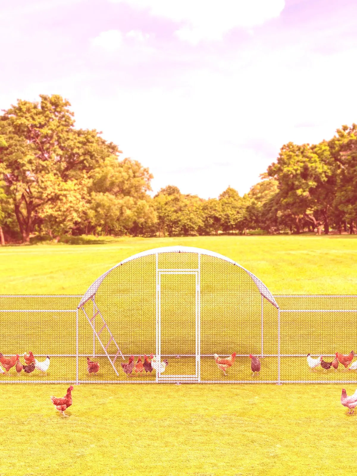 Galvanized Metal Chicken Coop Dome Roof Walk In Enclosure