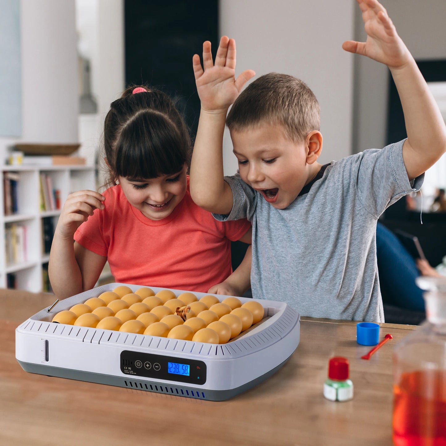 TLXT 35 Egg Incubator With Automatic Egg Turning Humidity Control
