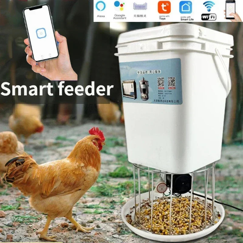 Automatic Chicken Feeder for Pigeons and Chickens with Intelligent Timing