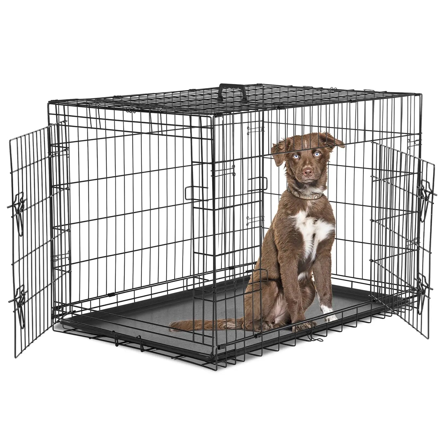 Dog Crate Double Door Portable Metal Wire Kennel With Tray