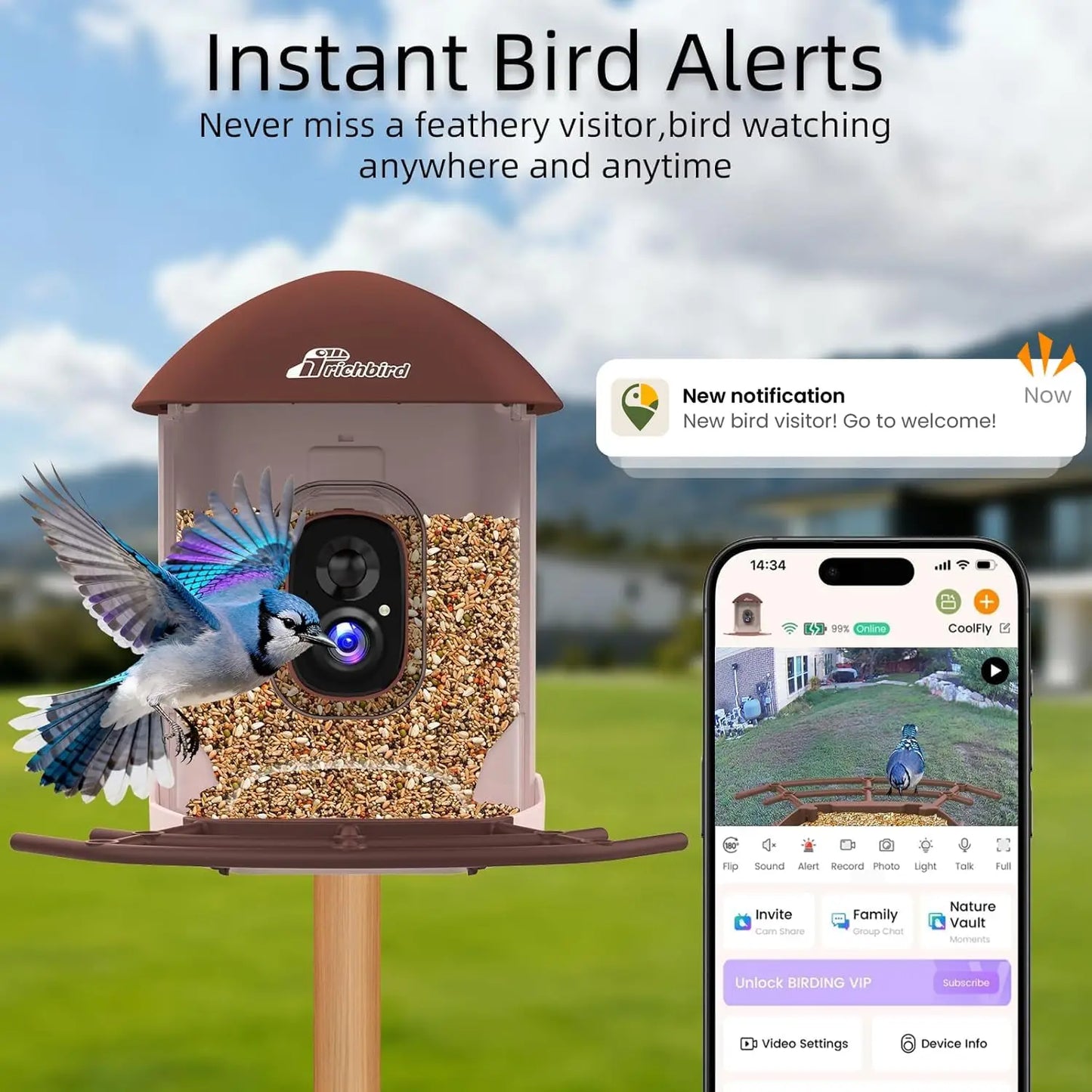 2.5K HD Solar Bird Feeder Camera With AI Recognition Alerts
