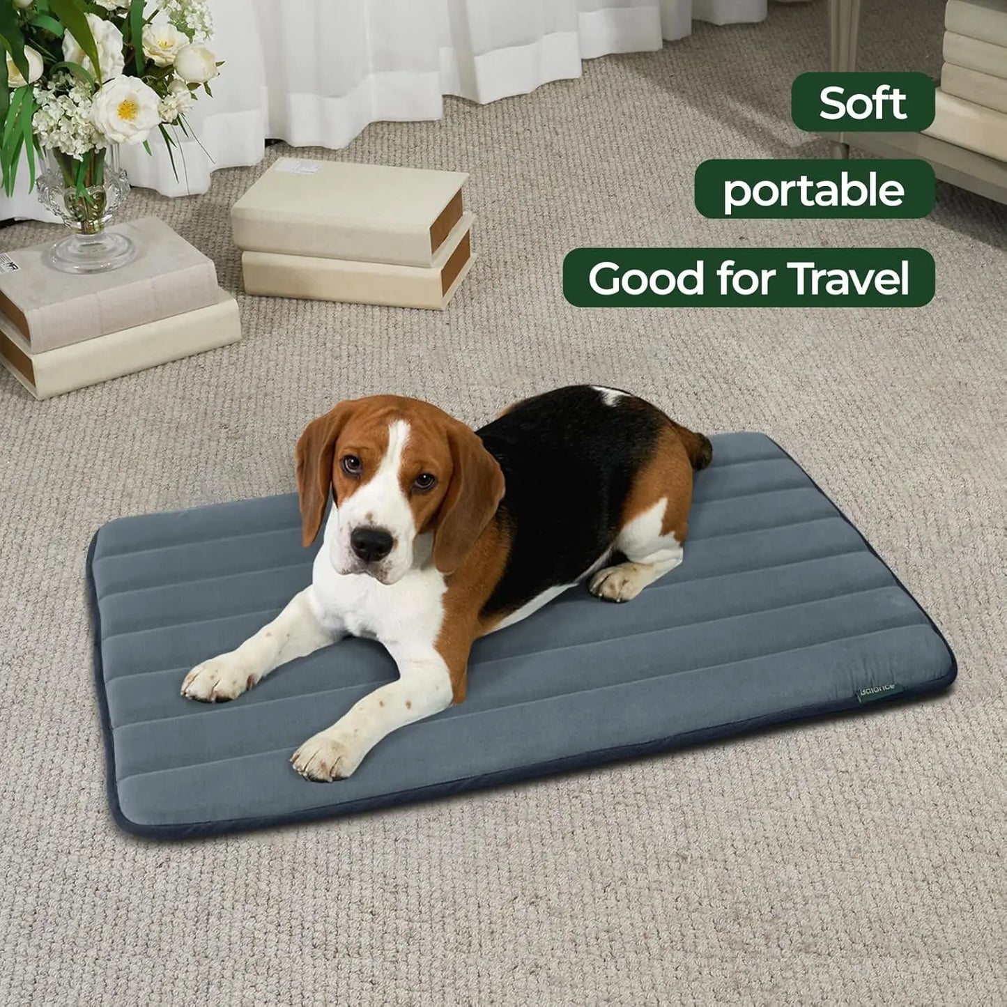 Washable Water Resistant Dog Crate Mat Anti Slip Foam Kennel Pad Pack
