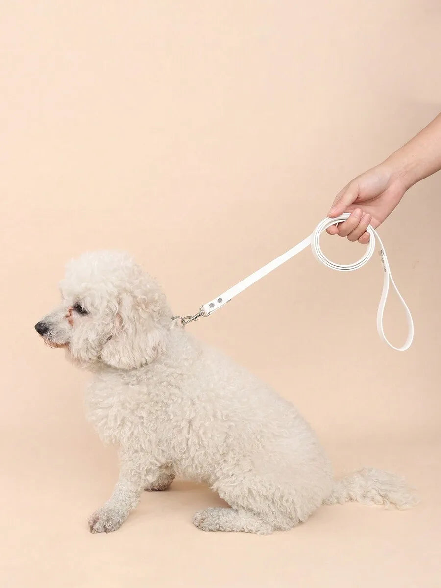 Essential PU Leash For Cats And Small Dogs Outdoor Walking
