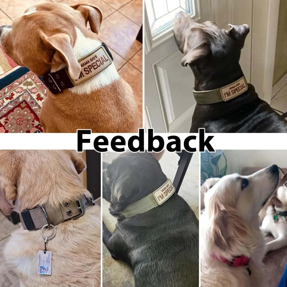 Military Grade Dog Collar With 1000D Nylon Adjustable Padded Buckle