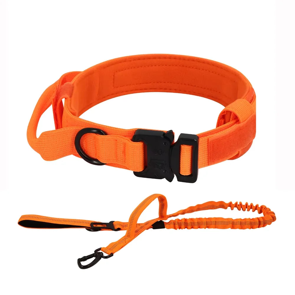Adjustable Dog Training Collar And Leash Set With Control Handle