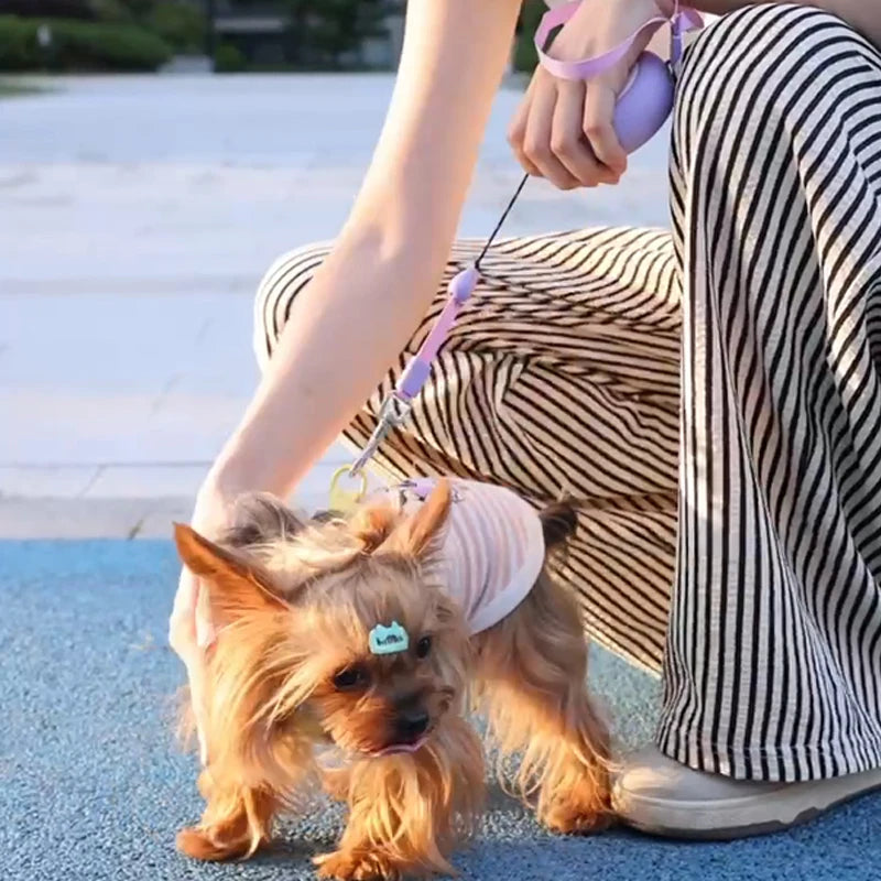 Booteely Auto Retractable Dog Leash With Quick Release Handle