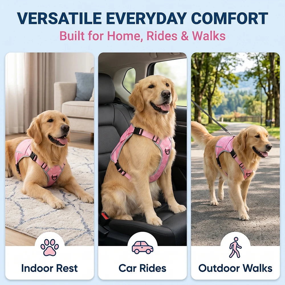Replaceable Cooling Pack Vest For Alaskan Malamute Dog