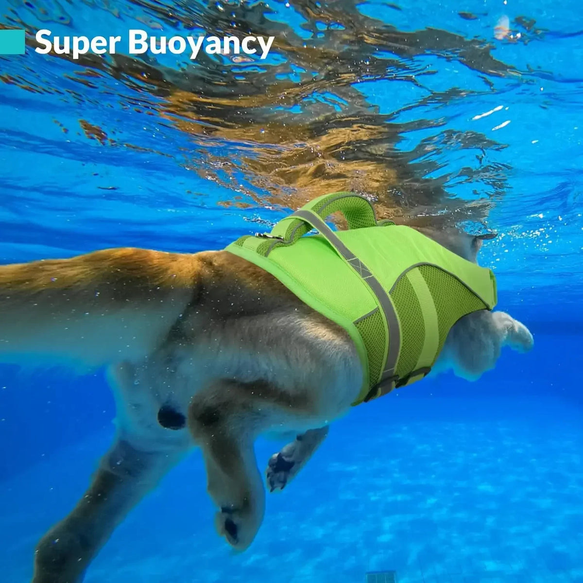 Mesh Dog Life Jacket With Rescue Handle And Reflective Trim