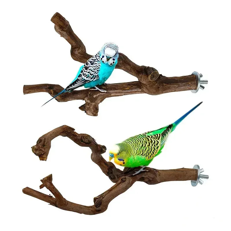 Grapewood Bird Perch And Grinding Toy For Parrots Cockatiels Parakeets