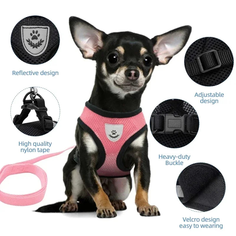 Cat And Small Dog Harness Vest With Leash Polyester Mesh