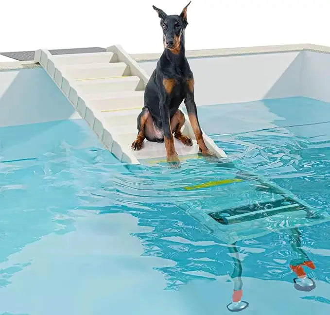 Foldable Dog Pool Ramp With Adjustable Legs For Safe Access
