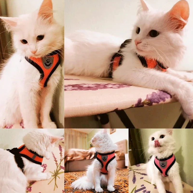 Cat And Small Dog Harness Vest With Leash Polyester Mesh