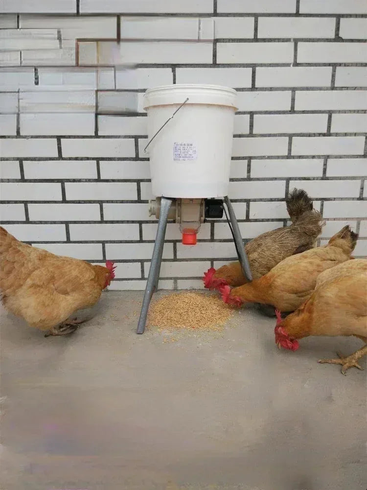 Automatic Chicken Feeder for Pigeons and Chickens with Intelligent Timing